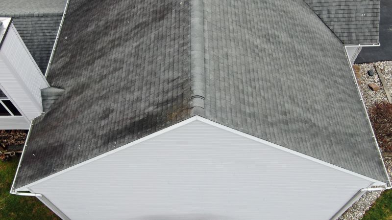 Asphalt Roof Inspection in Lively, VA
