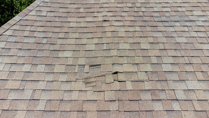 Asphalt Roof Inspection in Newport News, VA