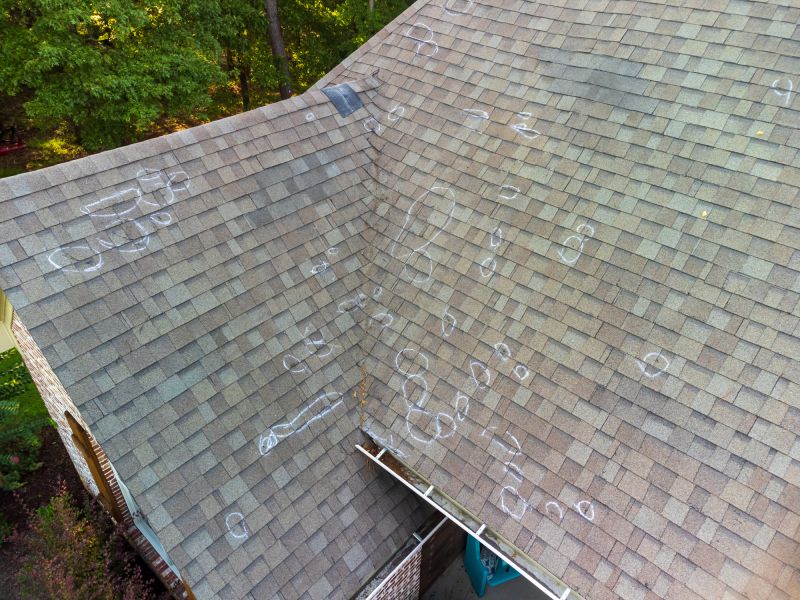 Asphalt Roof Inspection in Surry, VA