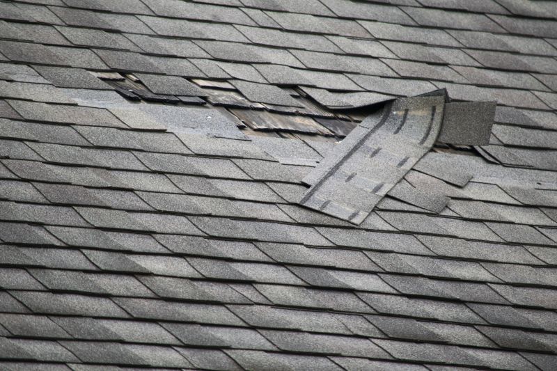 Asphalt Roof Leak Repair in Williamsburg, VA