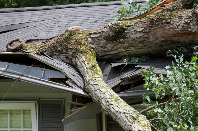 Asphalt Roofing Service in Gloucester, VA