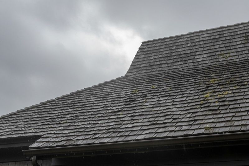 Cedar Roof Replacement in Surry, VA