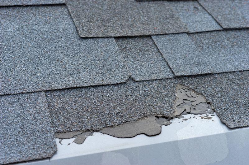 Damaged Roof Repair in Cardinal, VA