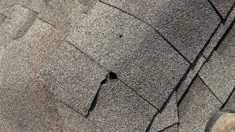 Damaged Roof Repair in Lanexa, VA