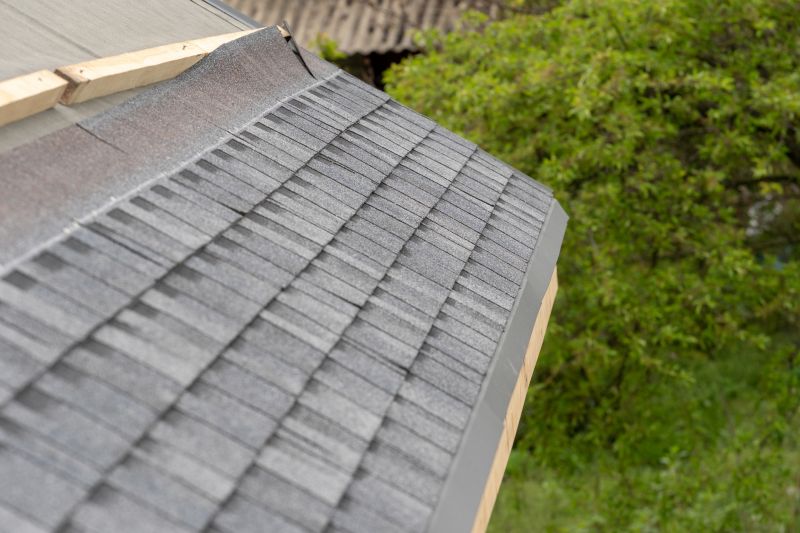Damaged Roof Repair in Lanexa, VA