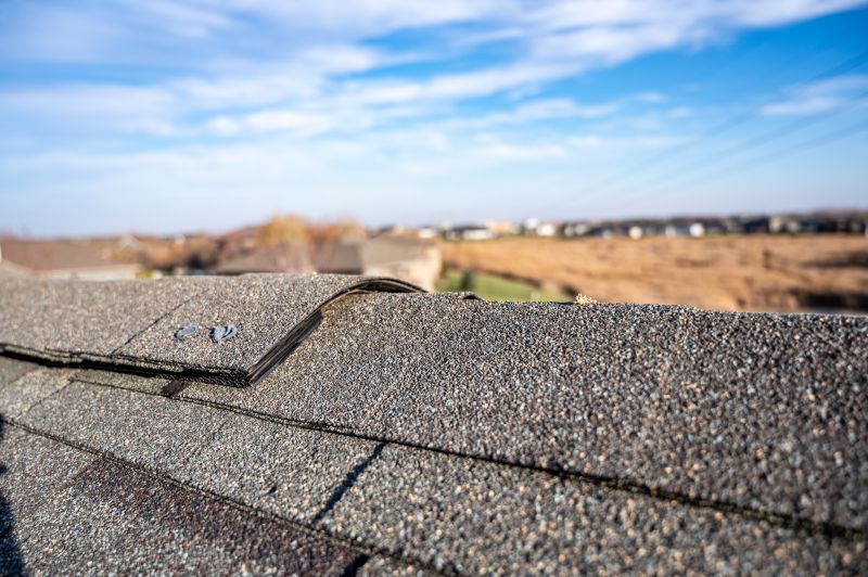 Damaged Roof Repair in Newport News, VA