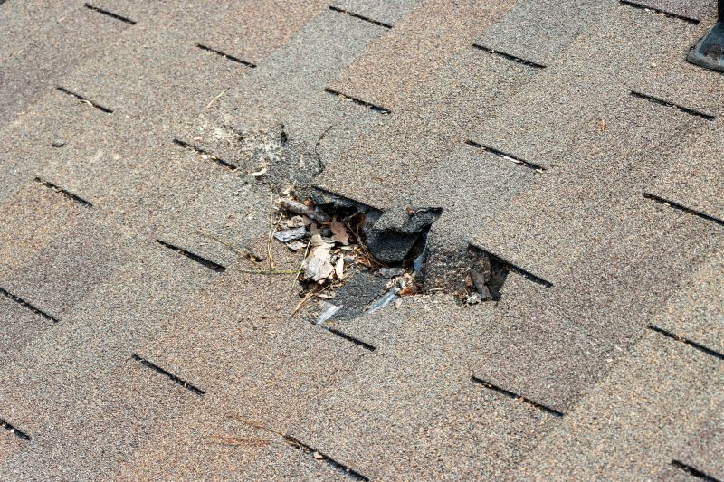 Damaged Roof Replacement in Toano, VA
