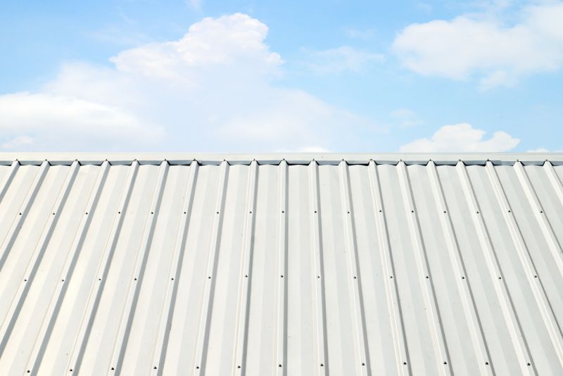Metal Roof Coating Service in Gloucester, VA