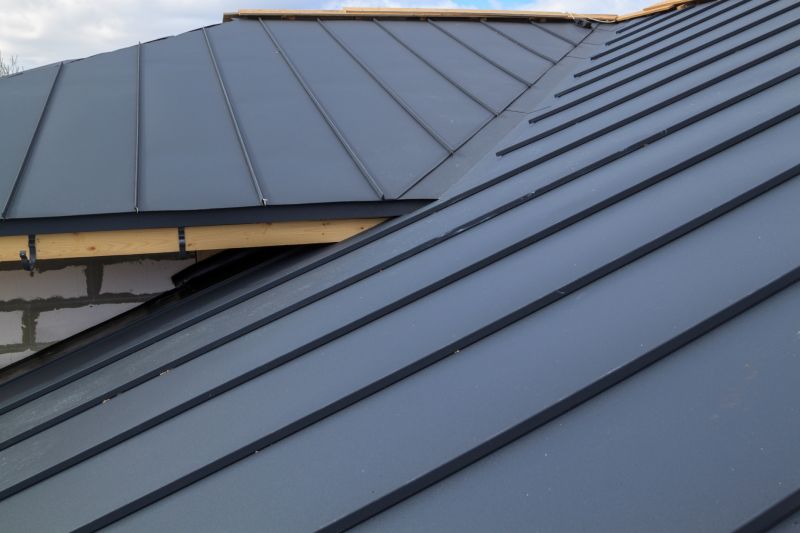 Metal Roof Repair in Cardinal, VA