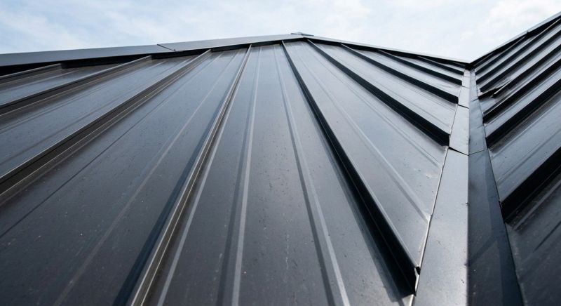 Roof Panel Repair in Gloucester, VA