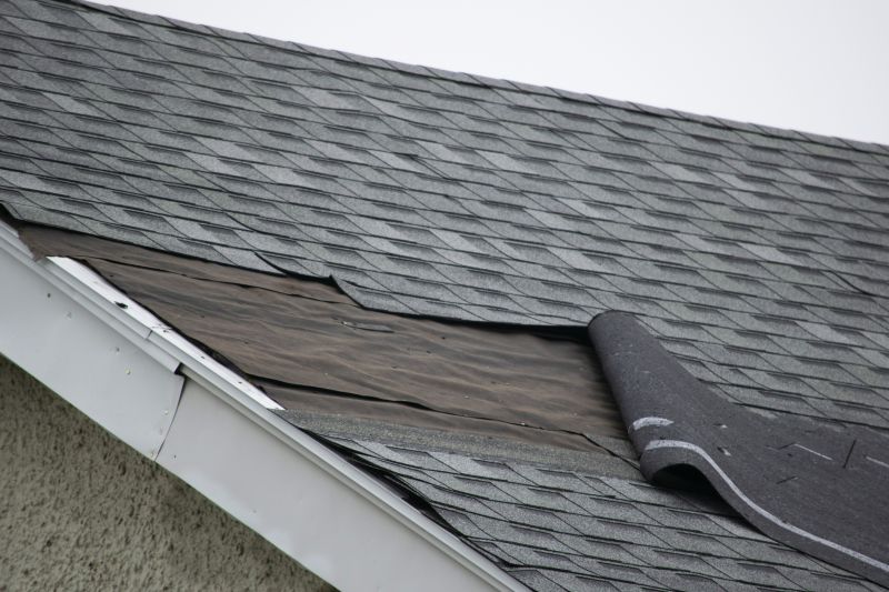 Roof Ridge Repair in Gloucester, VA
