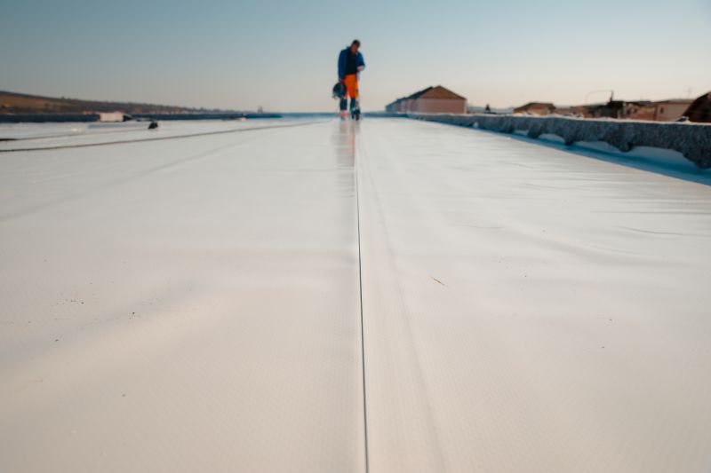 Rubber Roof Repair in Cardinal, VA