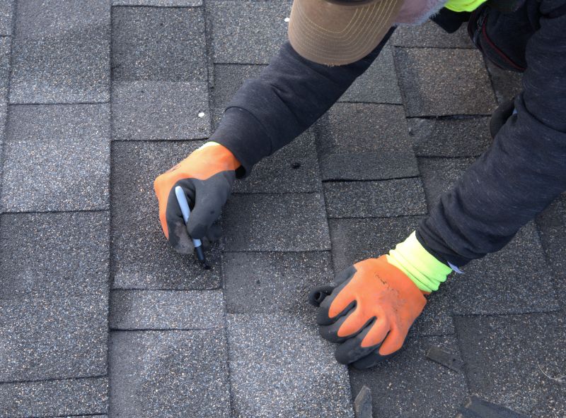 Shingles Repair in Lively, VA