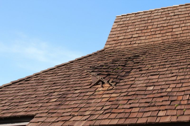 Wood Shake Roof Replacement in Cardinal, VA