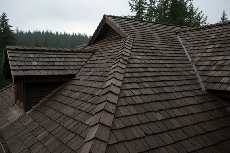 Wood Shake Roof Replacement in Williamsburg, VA